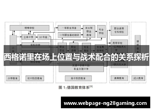 西格诺里在场上位置与战术配合的关系探析